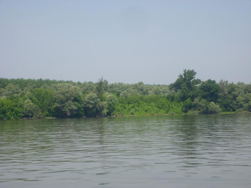 Name:  STP61917_klein.jpg
Hits: 544
Gre:  47,4 KB