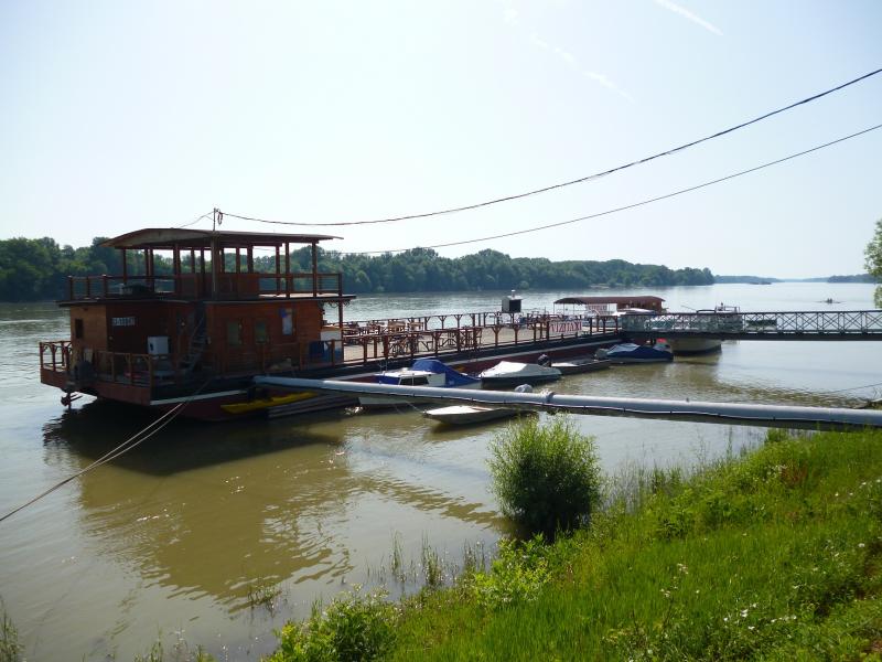 Name: P1000775_klein.jpg
Hits: 3476
Größe: 66,5 KB