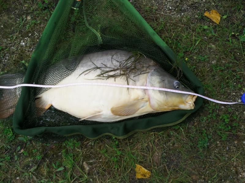 Name:  20120703_092524.jpg
Hits: 4492
Gre:  96,9 KB
