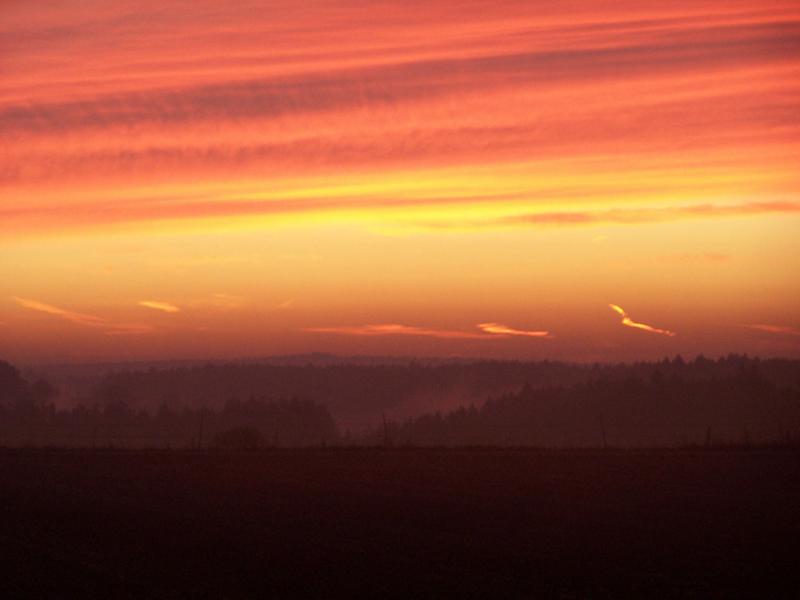 Name:  1667-Morgenrot.JPG
Hits: 1540
Gre:  26,4 KB