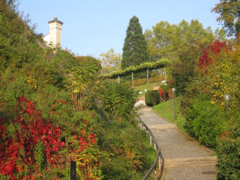 Name: K800_IMG_3704.jpg
Hits: 1479
Größe: 95,5 KB