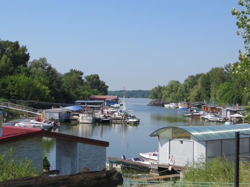 Name:  K800_IMG_0781.JPG
Hits: 1185
Größe:  76,4 KB