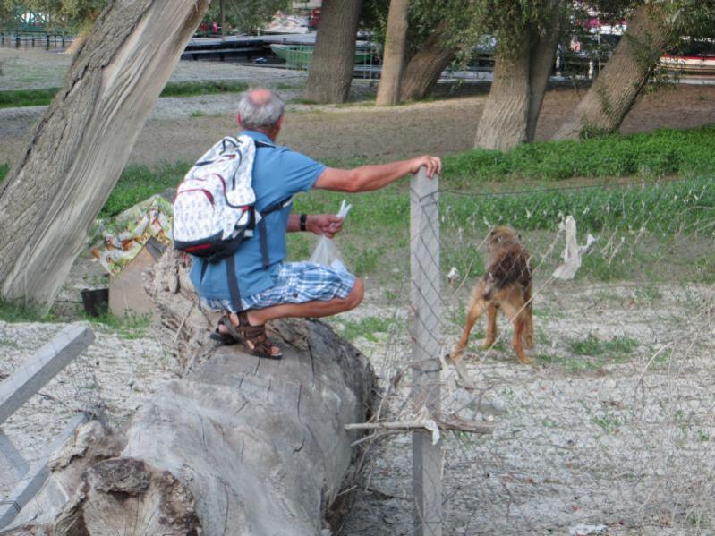 Name: K800_IMG_0935.jpg
Hits: 1044
Größe: 92,6 KB