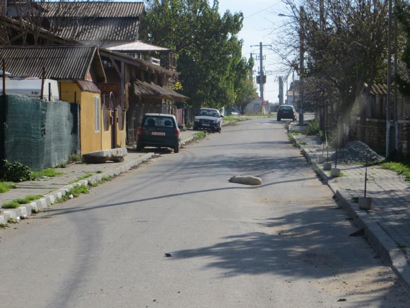 Name:  K800_IMG_1995.JPG
Hits: 1210
Größe:  93,5 KB