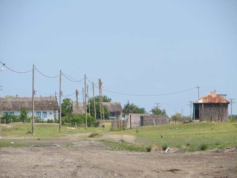 Name: K800_IMG_0337.JPG
Hits: 1315
Größe: 61,5 KB