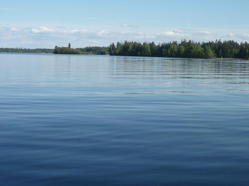 Name:  P1040504.jpg
Hits: 2570
Größe:  38,7 KB