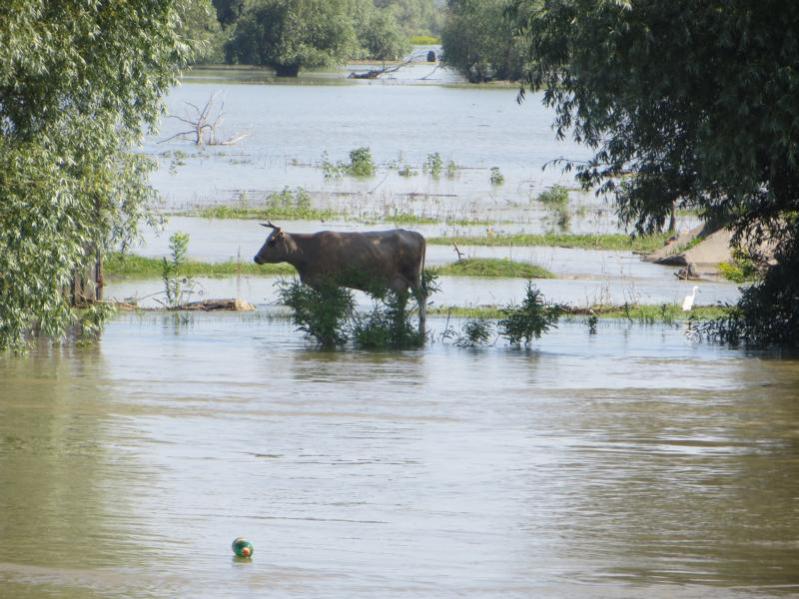 Name:  K800_IMG_0589.jpg
Hits: 1501
Größe:  80,4 KB