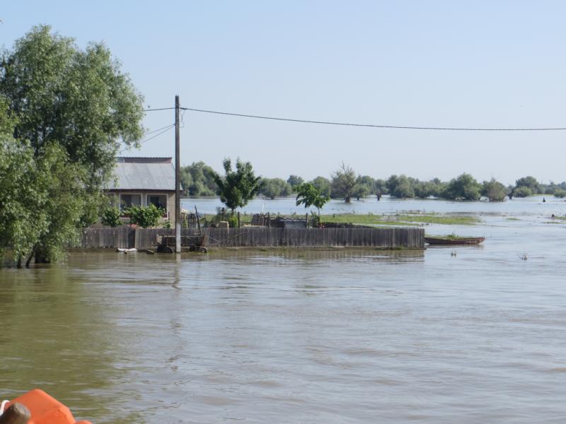 Name:  K800_IMG_0587.JPG
Hits: 1566
Größe:  68,8 KB