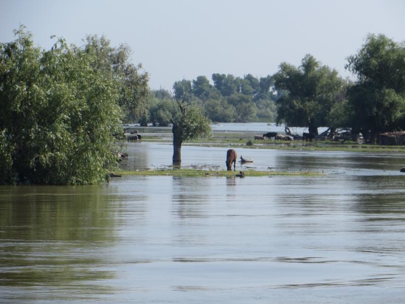 Name:  K800_IMG_0583.JPG
Hits: 1537
Größe:  77,0 KB