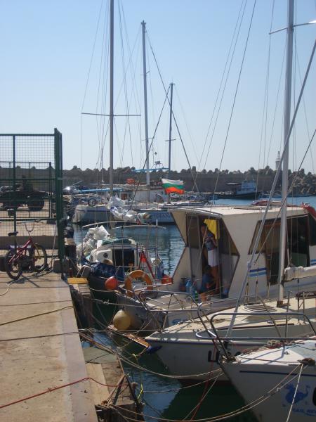 Name: STP62599.jpg
Hits: 1715
Größe: 46,3 KB