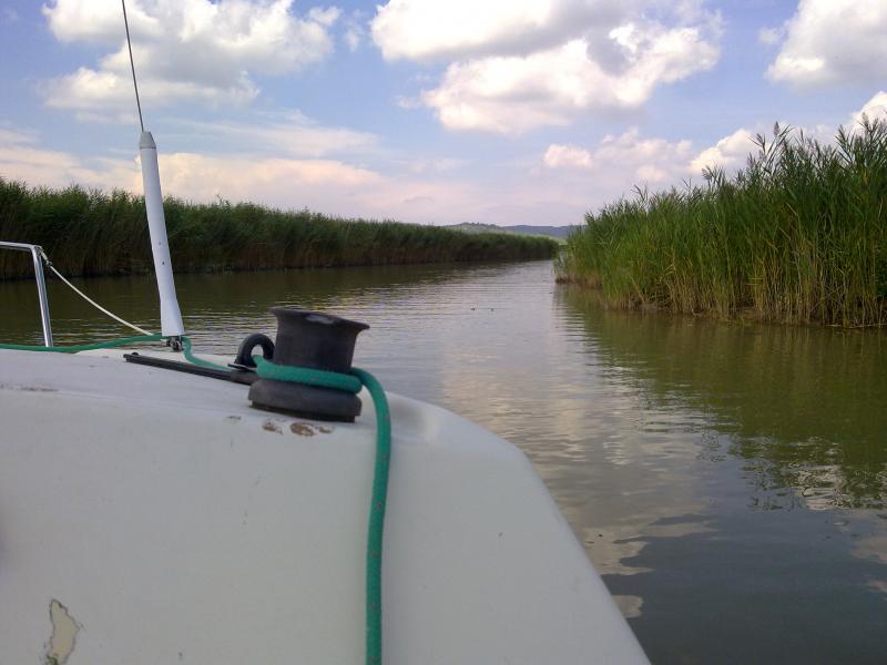 Name: 060820111083.jpg
Hits: 3650
Größe: 48,5 KB