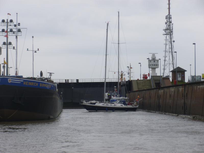 Name: P1010573_klein.jpg
Hits: 6104
Größe: 45,5 KB