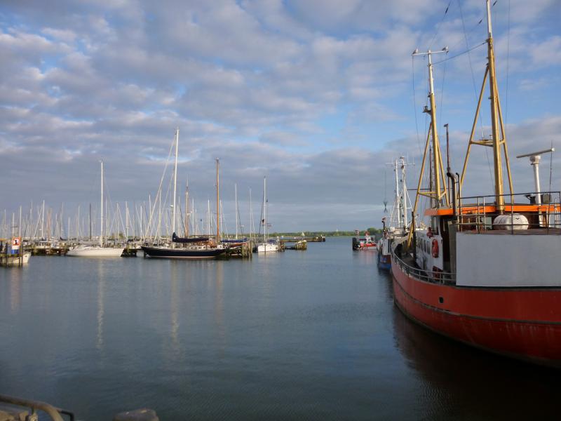 Name: P1010734_klein.jpg
Hits: 6254
Größe: 45,8 KB