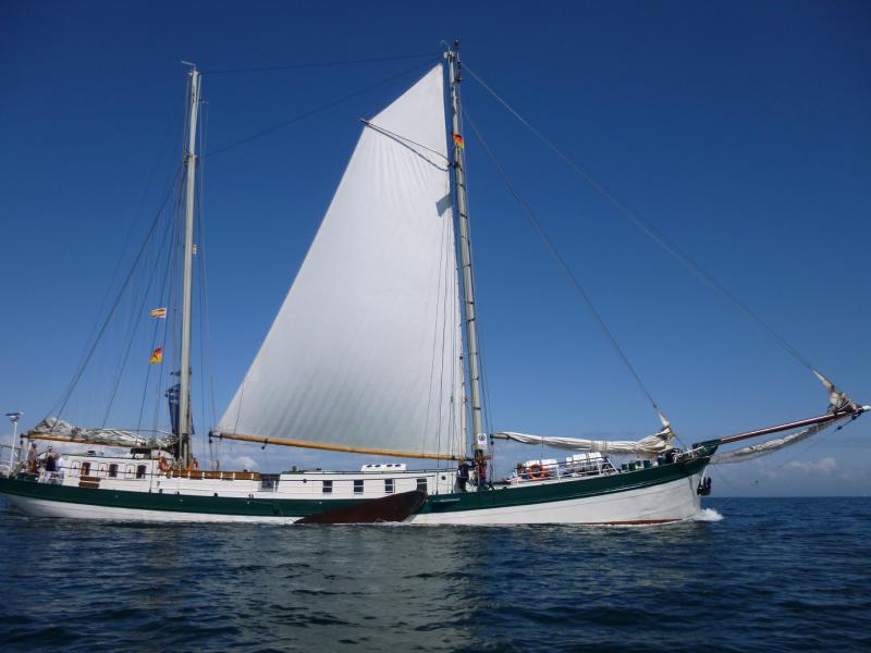 Name: P1010783_klein.jpg
Hits: 4110
Größe: 47,8 KB