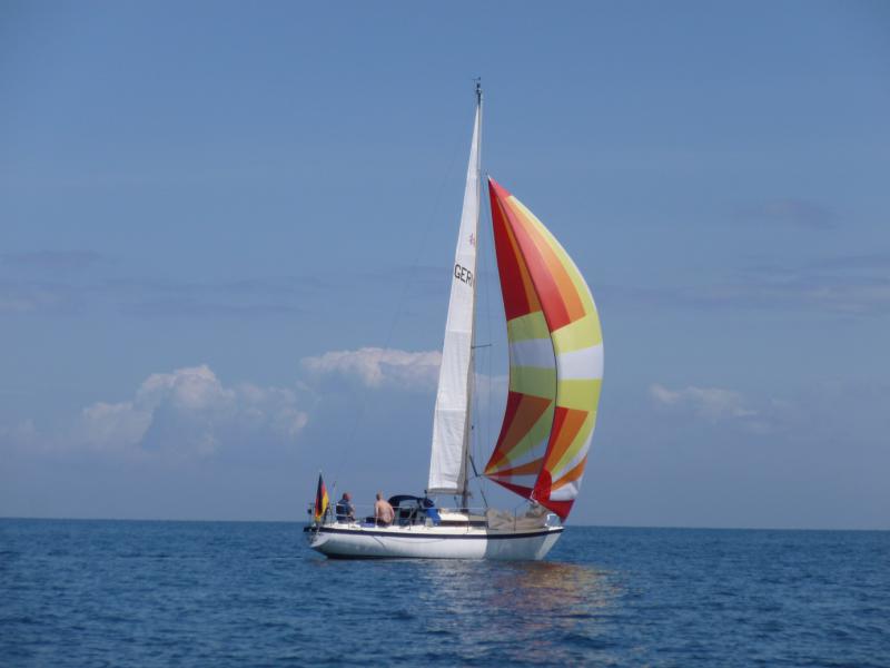 Name: P1010799_klein.jpg
Hits: 4016
Größe: 30,7 KB