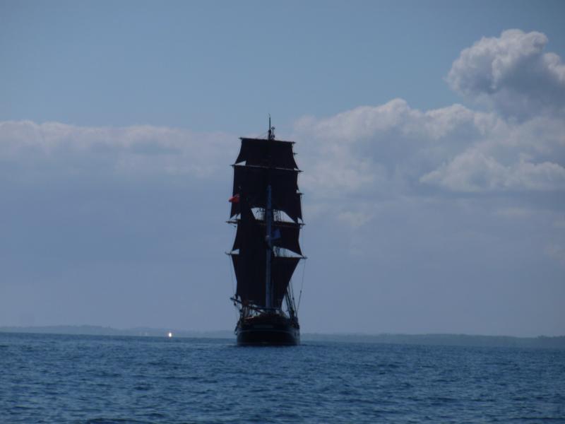 Name: P1010805_klein.jpg
Hits: 4098
Größe: 27,8 KB