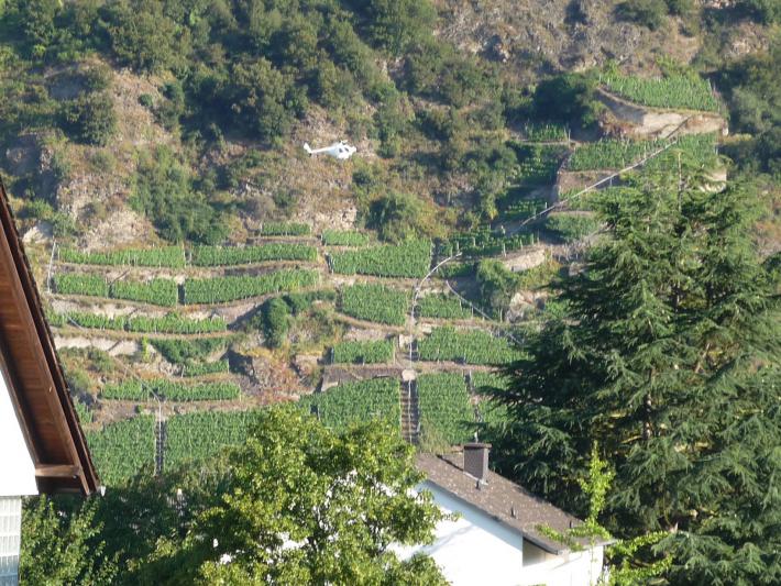 Name:  P1060239.jpg
Hits: 9759
Größe:  104,1 KB