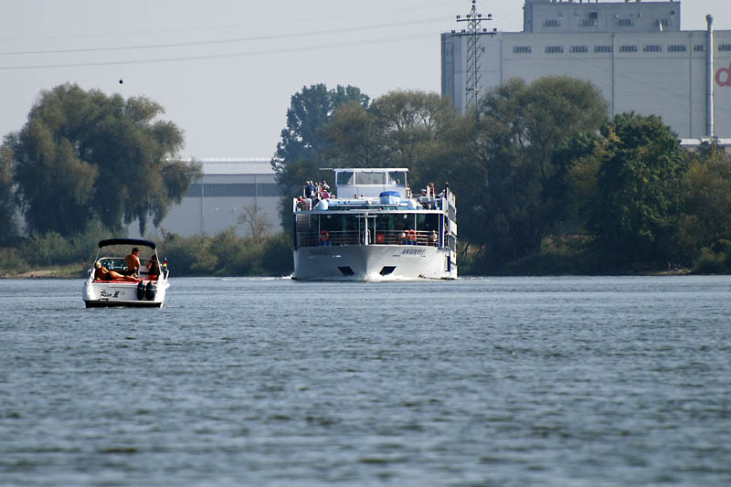 Name: das Duell.jpg
Hits: 4357
Größe: 92,8 KB