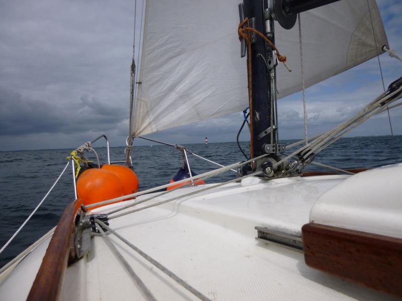 Name: P1010714_Klein.jpg
Hits: 6250
Größe: 49,3 KB