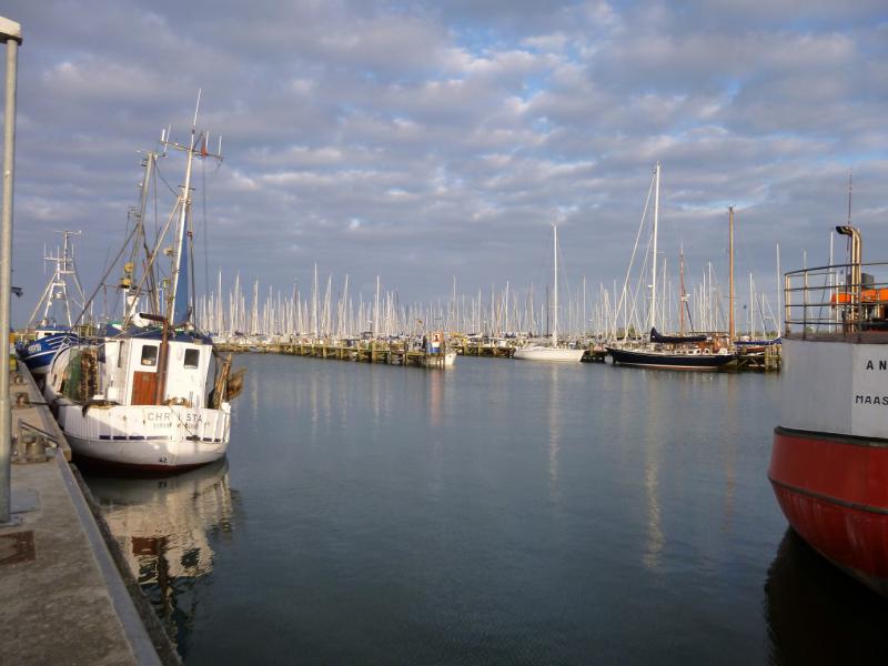 Name: P1010735_klein.jpg
Hits: 6078
Größe: 51,4 KB