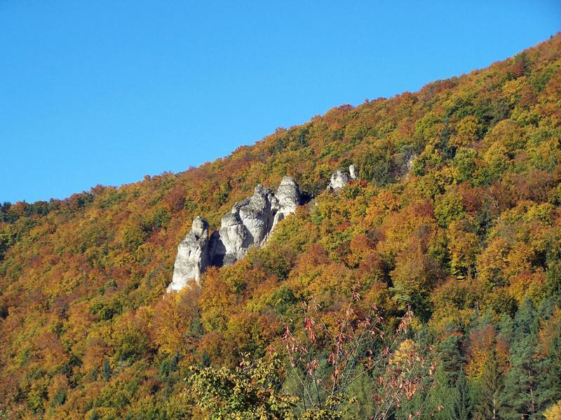 Name:  1713-Der-Teufelsfelsen.JPG
Hits: 681
Gre:  113,1 KB