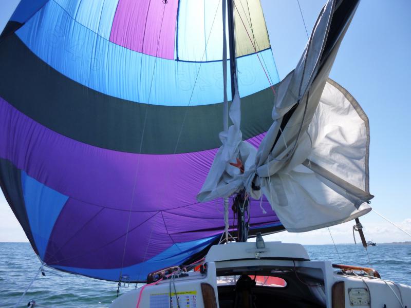 Name: P1010787_klein.jpg
Hits: 4047
Größe: 59,1 KB