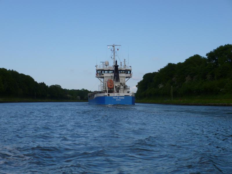 Name: P1010899_klein.jpg
Hits: 4037
Größe: 48,1 KB