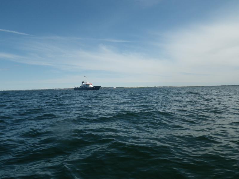 Name: IMGP1035.jpg
Hits: 3858
Größe: 49,3 KB