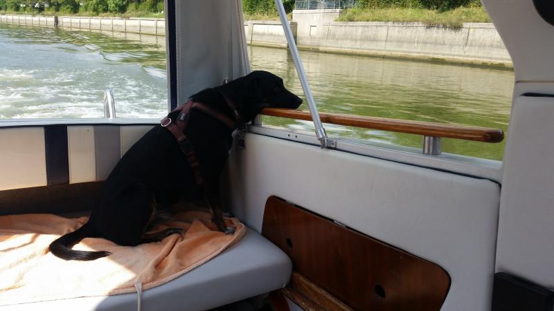 Name: 20160817_151500.jpg
Hits: 4815
Größe: 44,9 KB