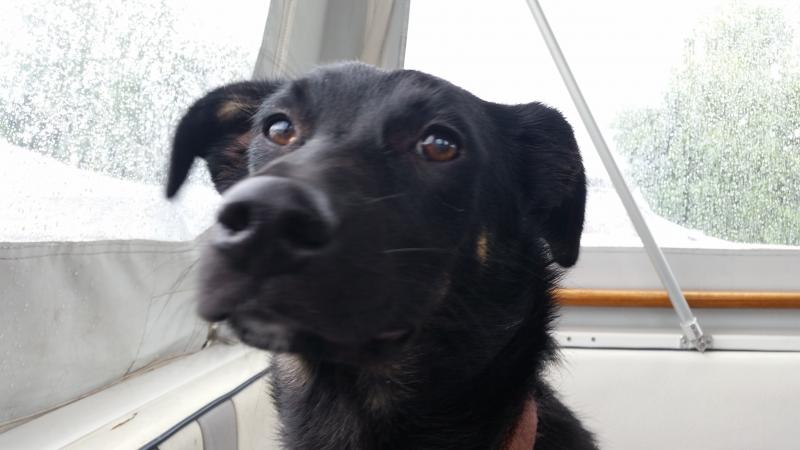 Name:  20160620_135722.jpg
Hits: 4794
Größe:  38,7 KB