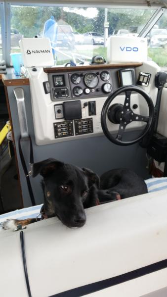 Name:  20160704_123812.jpg
Hits: 4681
Größe:  29,2 KB