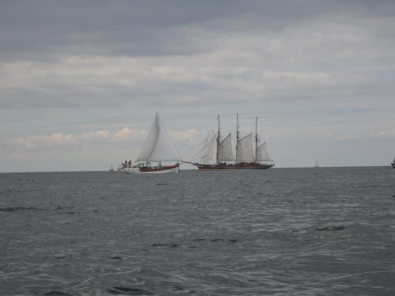 Name: IMGP1069.jpg
Hits: 3827
Größe: 36,3 KB