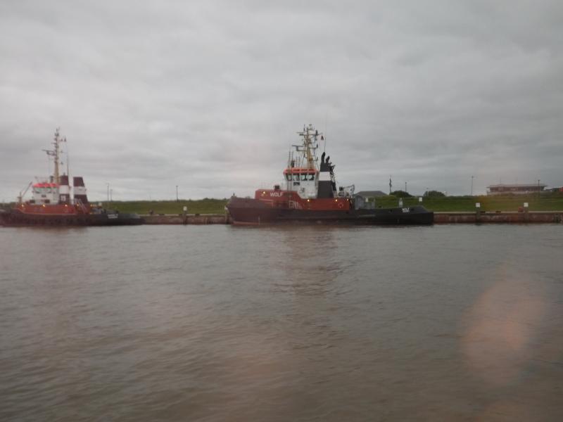 Name: IMGP0987_klein.jpg
Hits: 3697
Größe: 30,1 KB