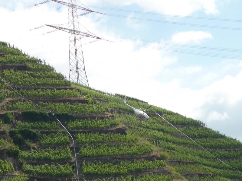 Name:  P1060731.jpg
Hits: 10619
Größe:  65,0 KB