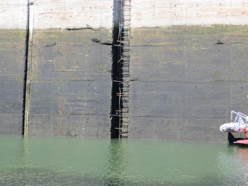 Name:  K800_IMG_1339.JPG
Hits: 1849
Größe:  76,5 KB