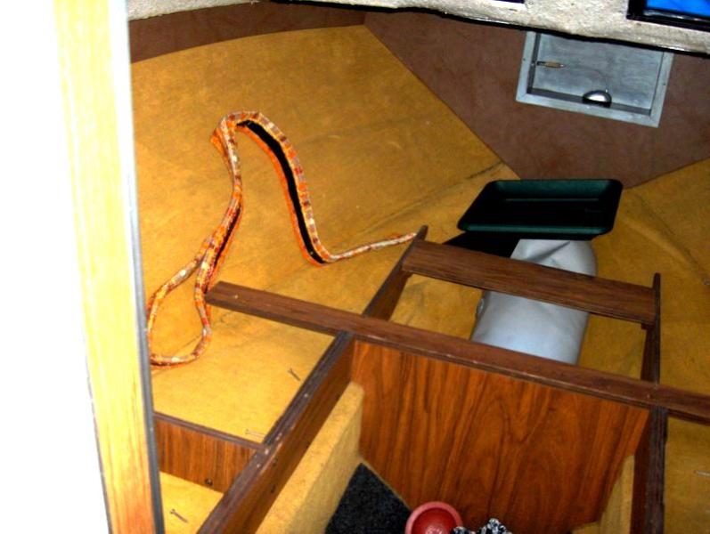 Name: HPIM1449.jpg
Hits: 14638
Größe: 54,7 KB