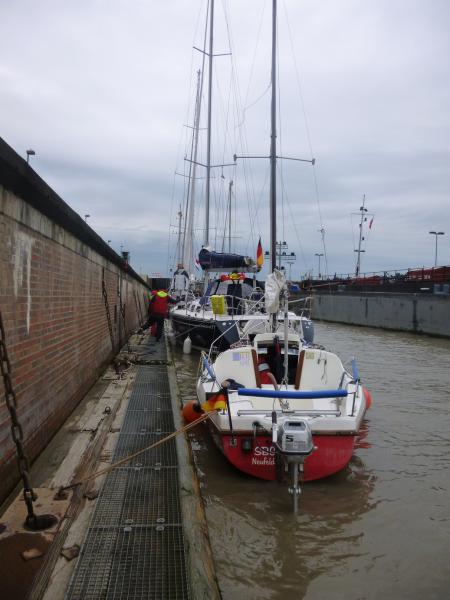 Name: P1010572_klein.jpg
Hits: 6146
Größe: 37,8 KB