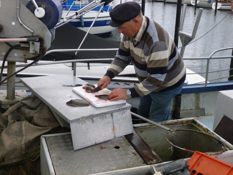 Name: P1010679_klein.jpg
Hits: 6246
Größe: 76,3 KB