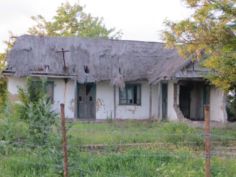 Name: K800_IMG_0184.JPG
Hits: 1416
Größe: 97,4 KB