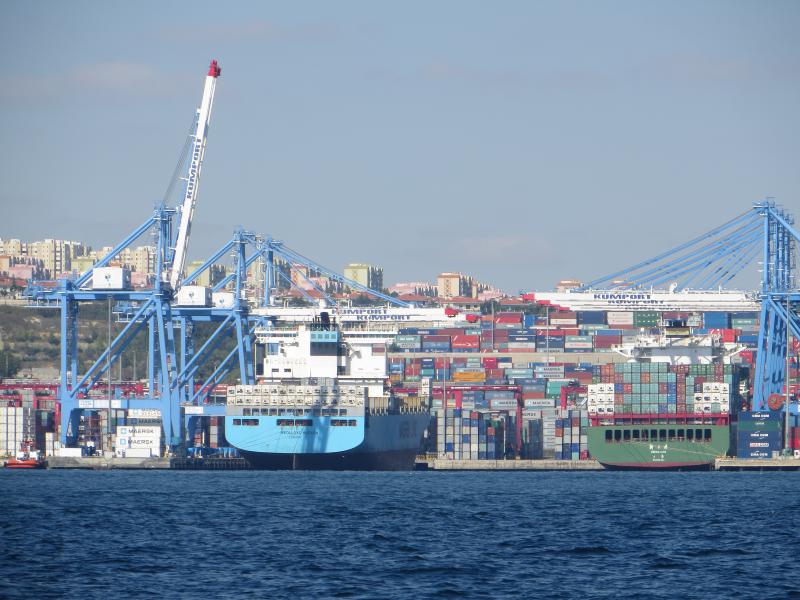 Name:  IMG_0495.jpg
Hits: 2109
Größe:  75,6 KB