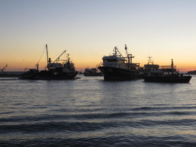 Name:  K800_IMG_0521.JPG
Hits: 2053
Größe:  68,2 KB