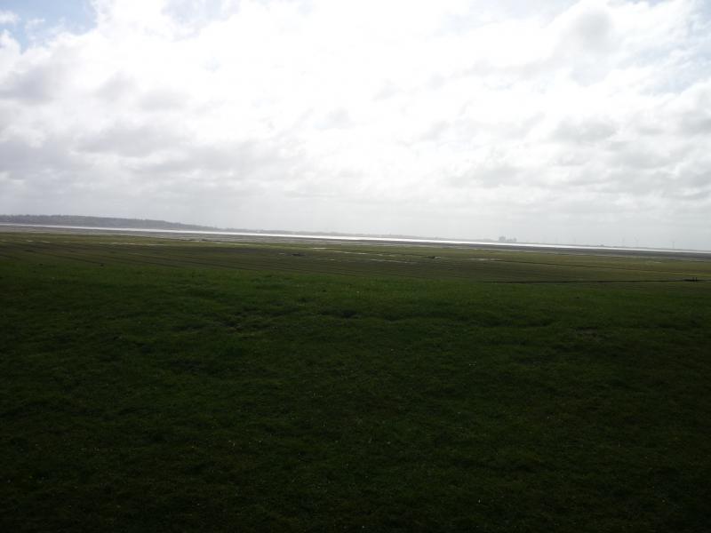 Name:  P1050113.jpg
Hits: 3941
Größe:  35,6 KB