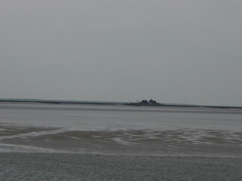 Name:  P1050165.jpg
Hits: 3900
Größe:  27,3 KB