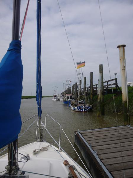 Name: P1010559_klein.jpg
Hits: 6204
Größe: 34,3 KB