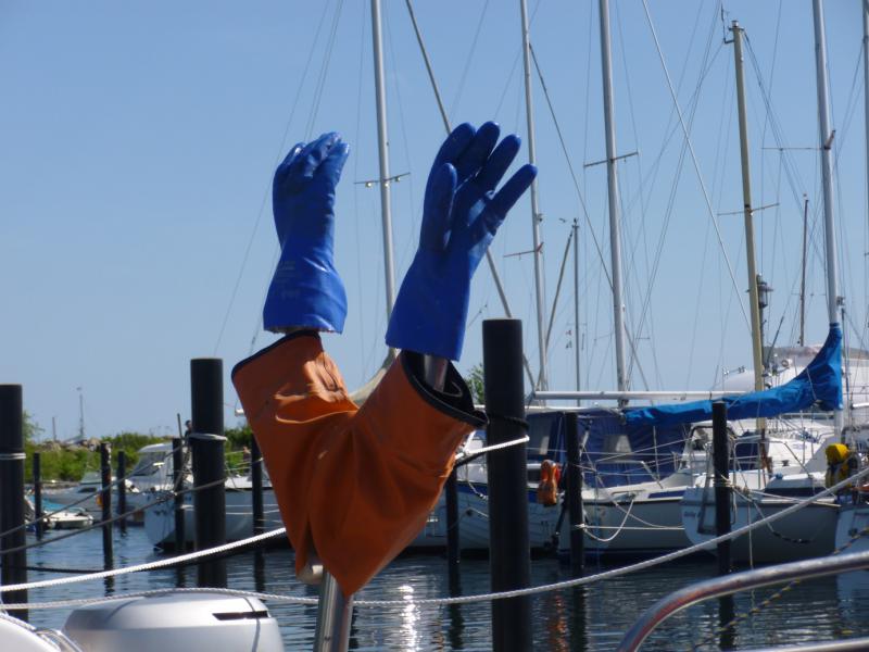 Name: P1010689_klein.jpg
Hits: 6332
Größe: 58,5 KB