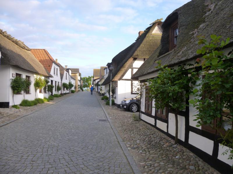 Name: P1010740_klein.jpg
Hits: 6136
Größe: 74,1 KB