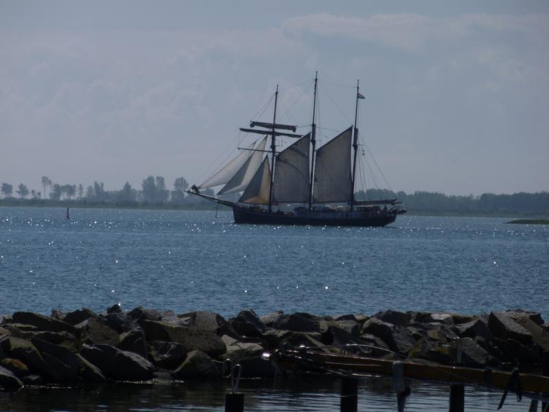 Name: P1010751_klein.jpg
Hits: 6096
Größe: 45,0 KB