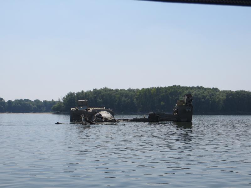 Name: K800_IMG_1584.JPG
Hits: 2550
Größe: 54,7 KB