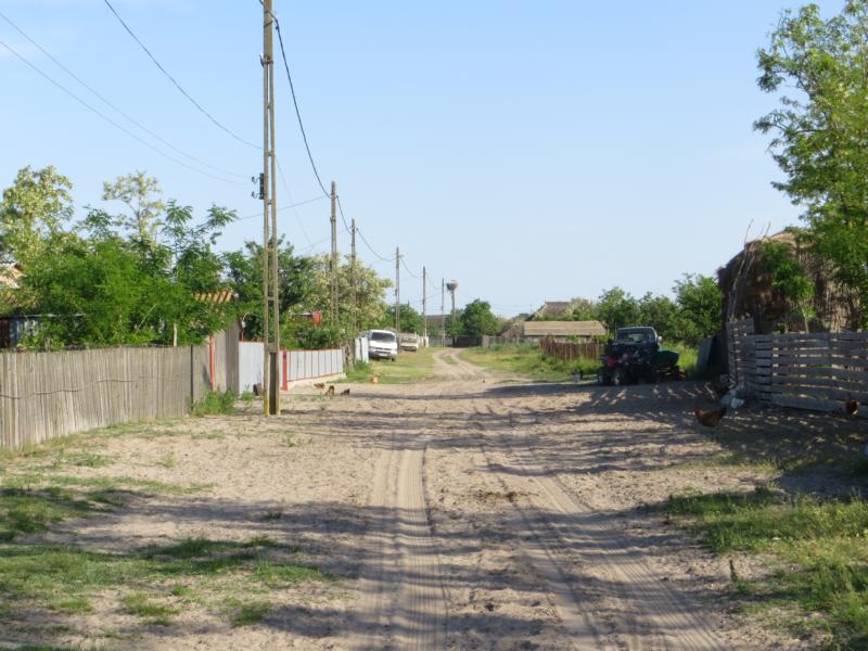 Name: K800_IMG_0171.JPG
Hits: 1367
Größe: 90,8 KB