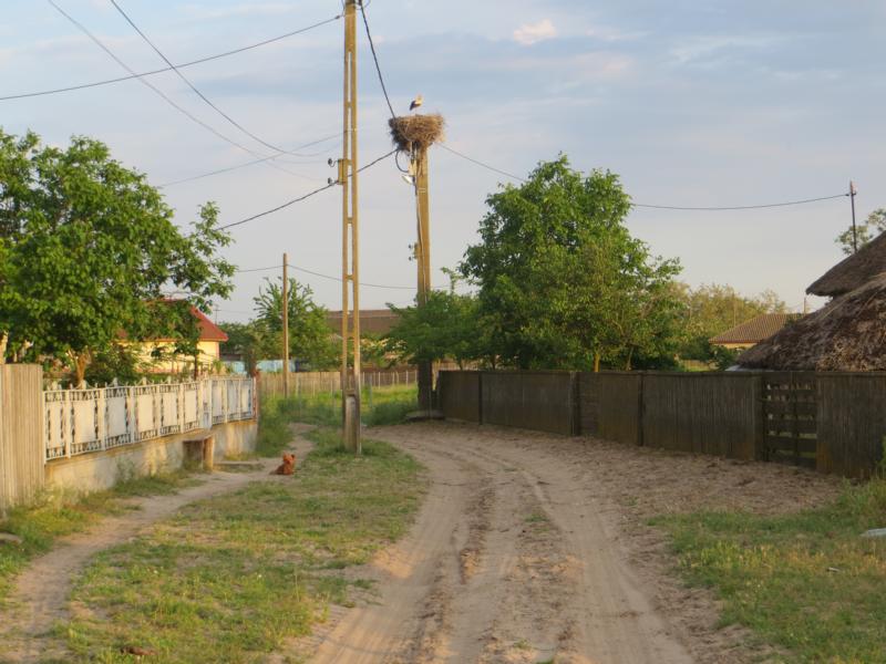 Name: K800_IMG_0174.JPG
Hits: 1360
Größe: 82,7 KB